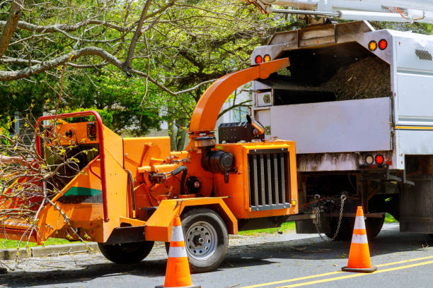 Best Commercial Tree Services  in Kearney, MO